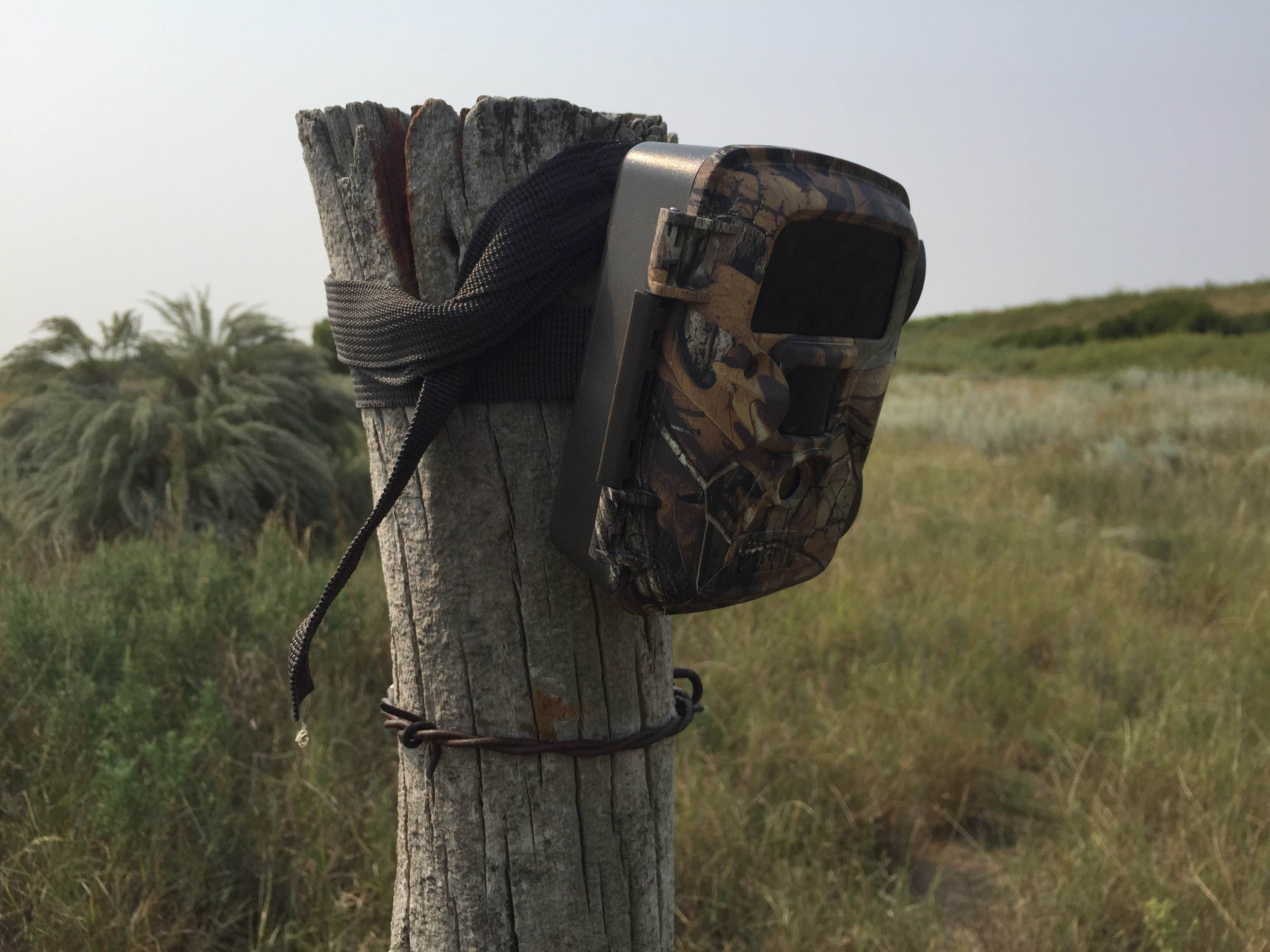 Trail Camera On Fence Post