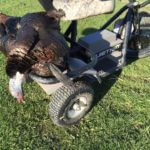QuietKat Turkey Hunting