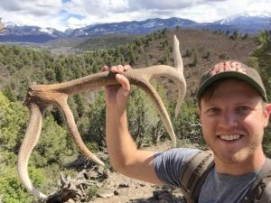 Elk Shed Hunting Tips