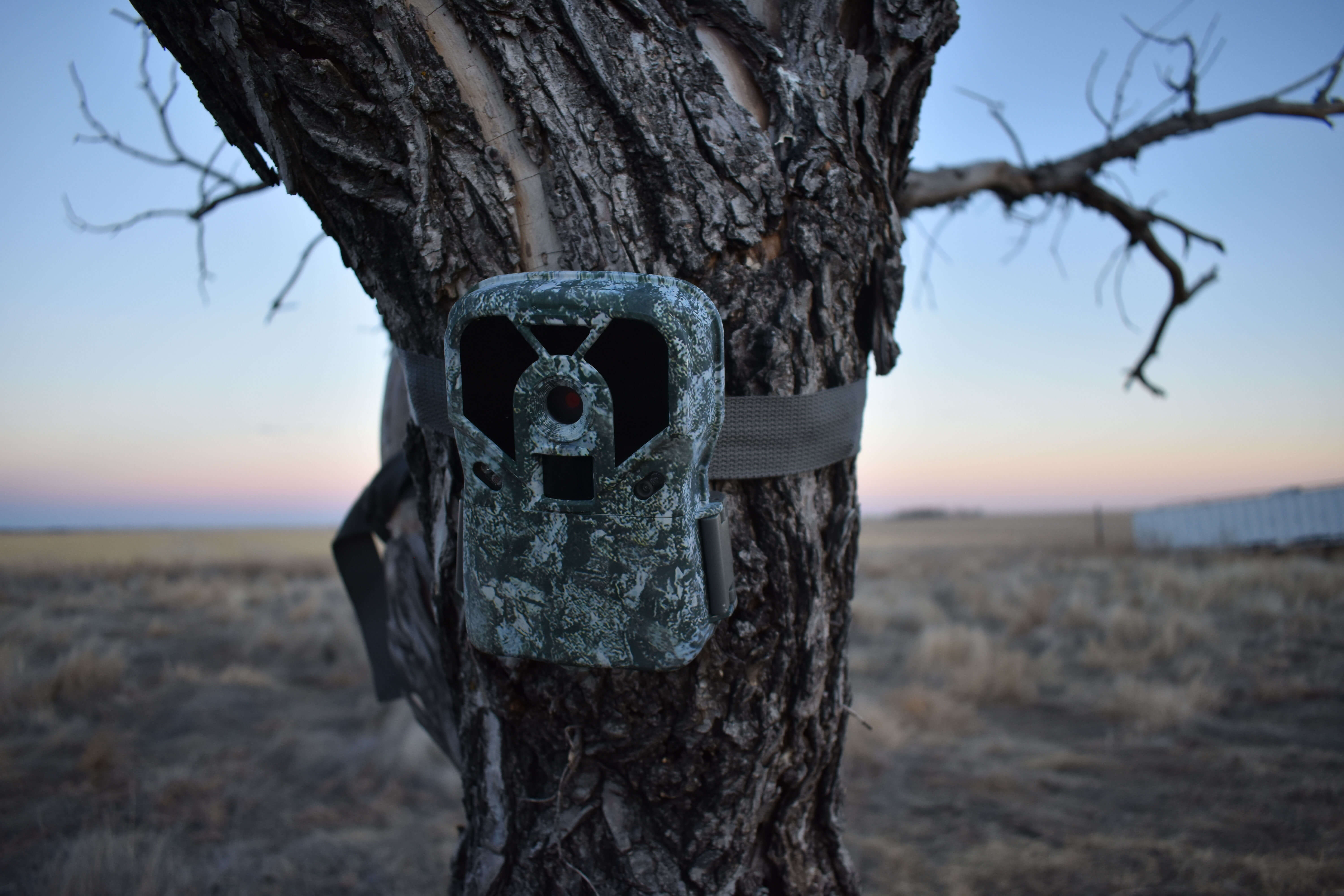 Best Trail Camera For Deer Hunting
