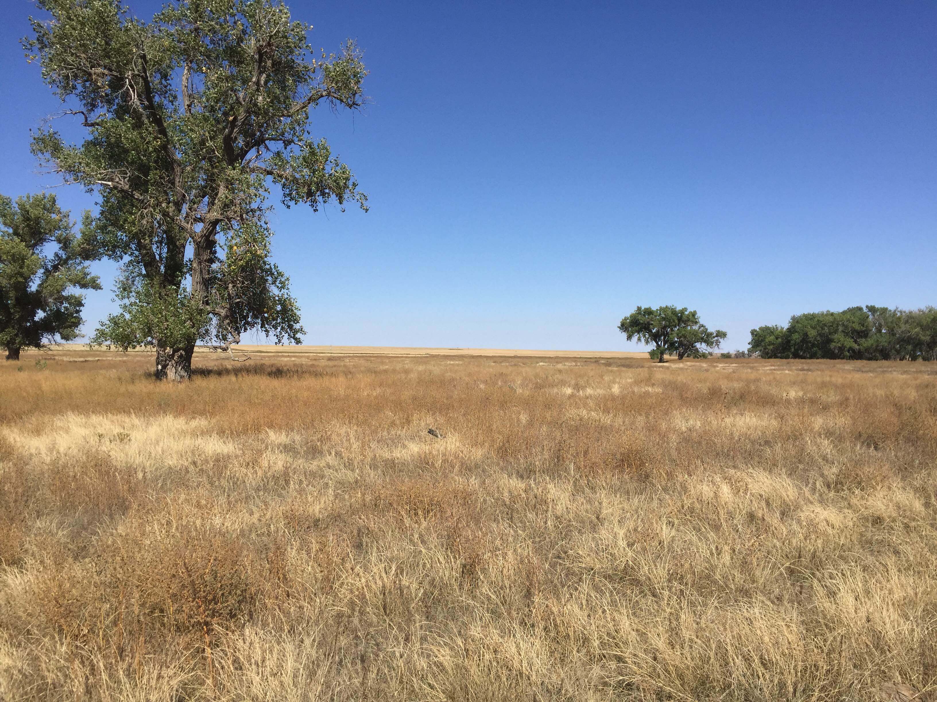 Western Kansas Open Prairie