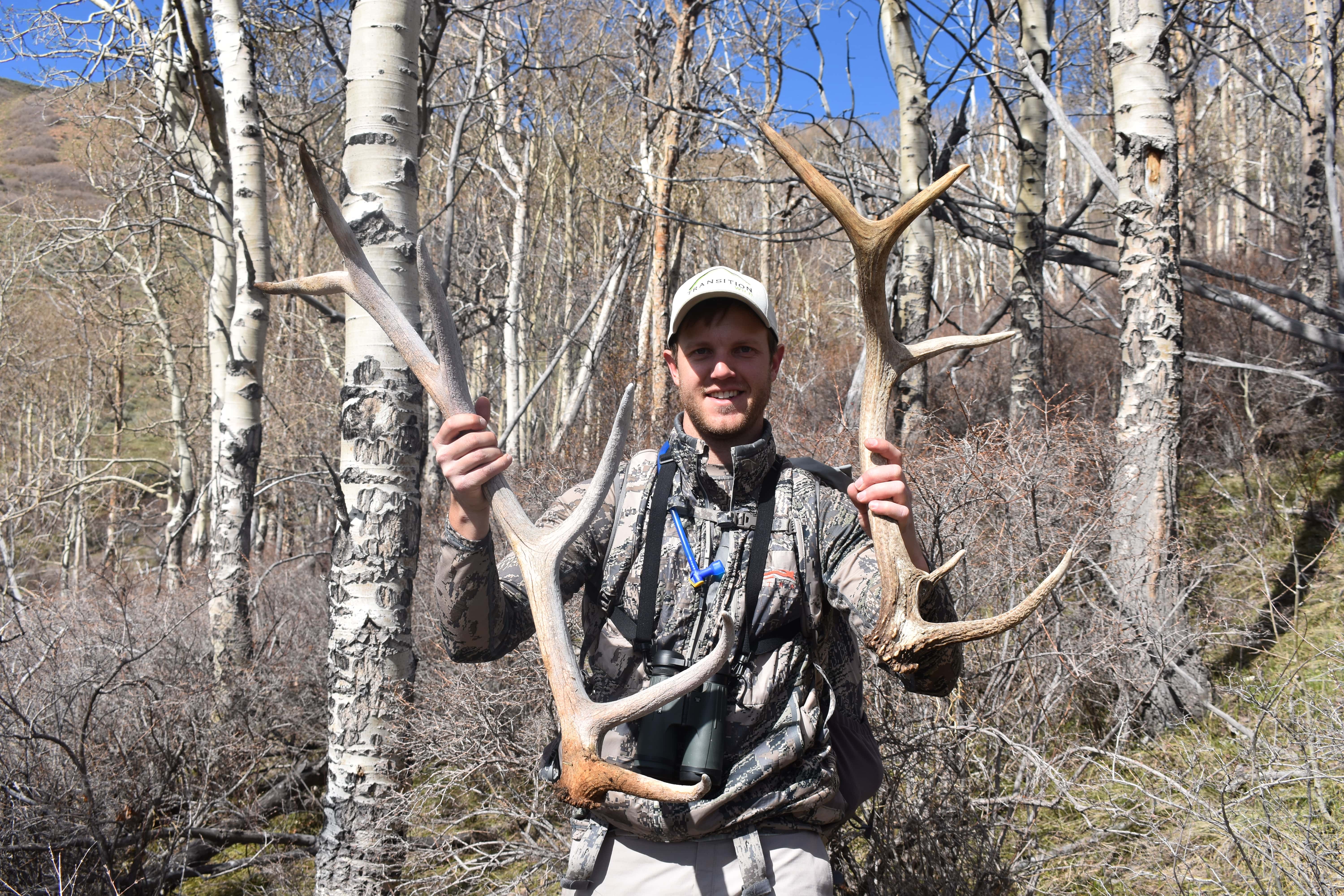 Colorado Elk Antler Hunting