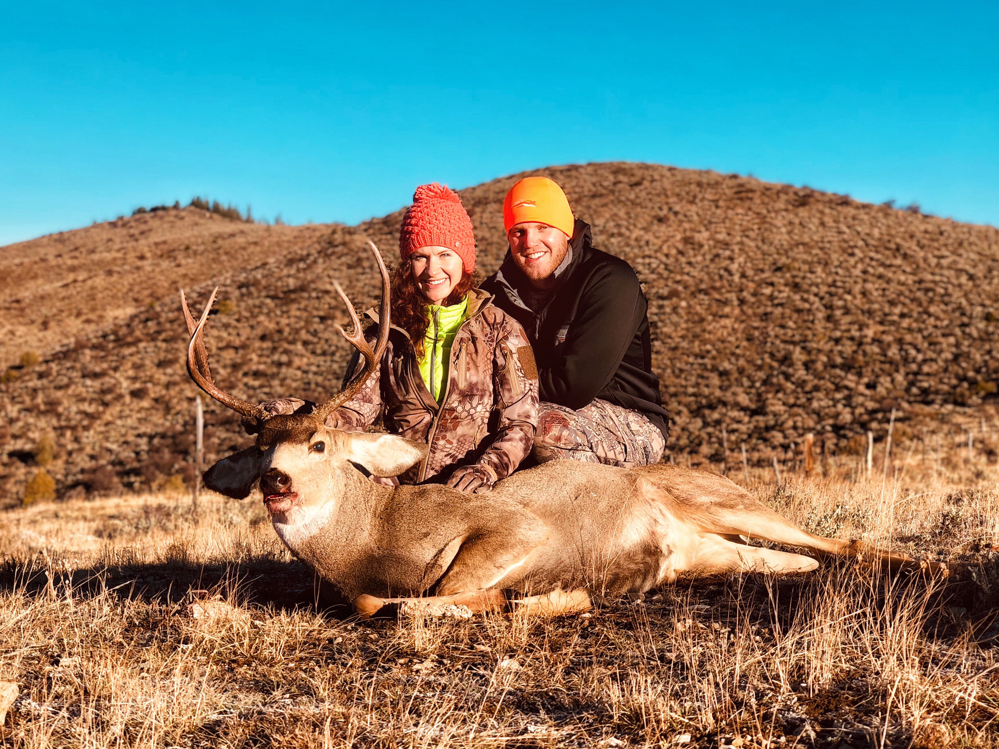 Colorado 2018 Mule Deer