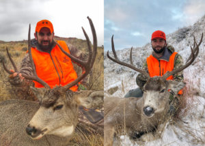 Montana Mule Deer Hunting 2018