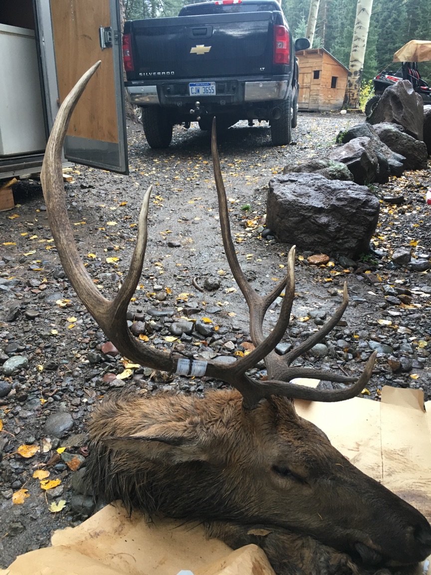 Southwest Colorado Hunting Cabins For Rent Transition Wild