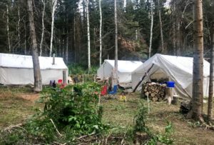 Wilderness Elk Camp