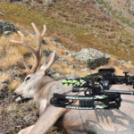 Highcountry Mule Deer Hunting